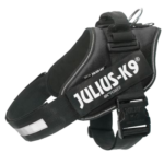 Julius-k9 idc power