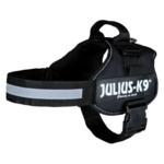 Julius-K9 standaard